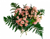 Букет «Первые лучики солнца»